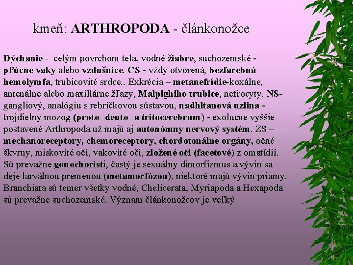 kmeň: ARTHROPODA - článkonožce Dýchanie - celým povrchom tela, vodné žiabre, suchozemské - pľúcne