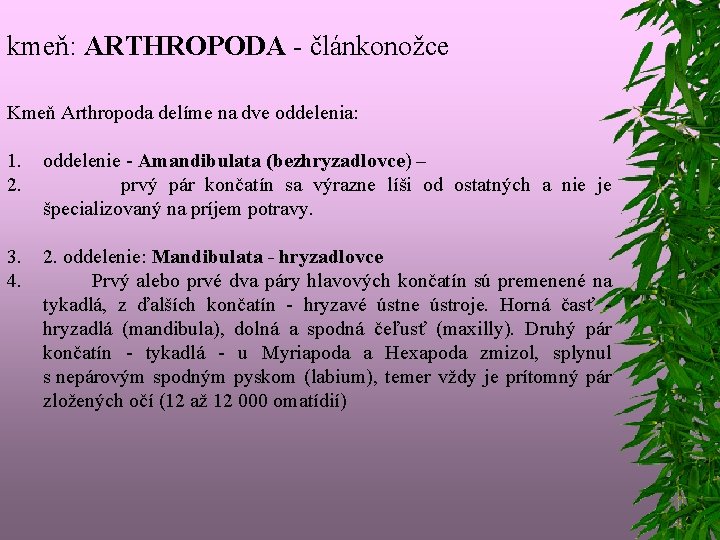 kmeň: ARTHROPODA - článkonožce Kmeň Arthropoda delíme na dve oddelenia: 1. 2. oddelenie -