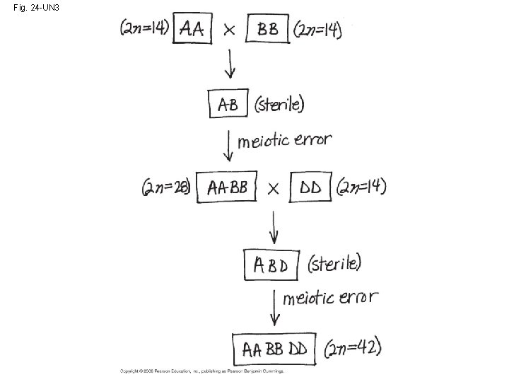 Fig. 24 -UN 3 