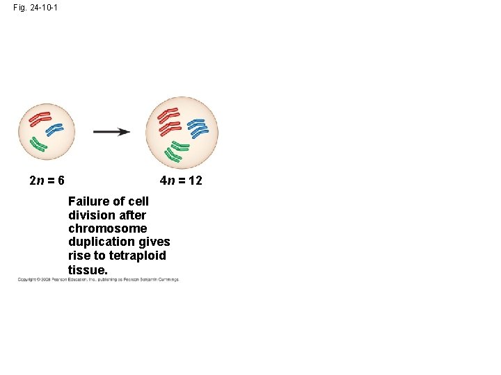 Fig. 24 -10 -1 2 n = 6 4 n = 12 Failure of