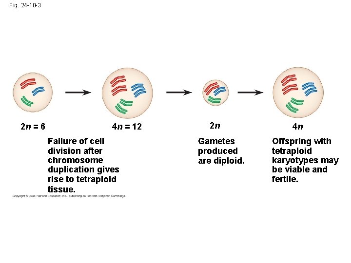 Fig. 24 -10 -3 2 n = 6 4 n = 12 Failure of