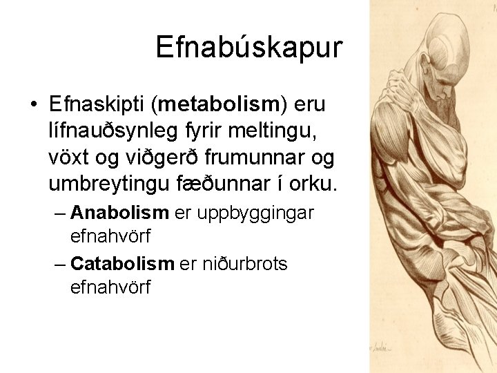 Efnabúskapur • Efnaskipti (metabolism) eru lífnauðsynleg fyrir meltingu, vöxt og viðgerð frumunnar og umbreytingu