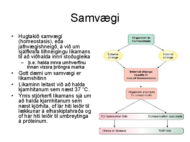 Samvægi • Hugtakið samvægi (homeostasis), eða jafnvægishneigð, á við um sjálfkrafa tilhneigingu líkamans til