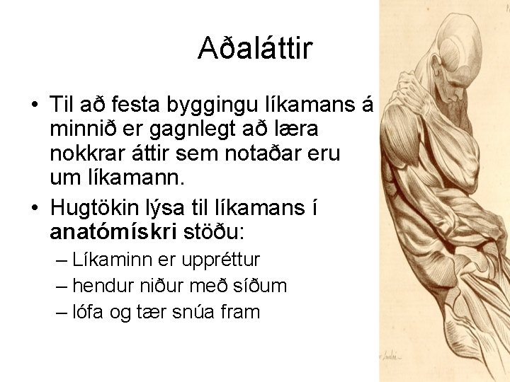 Aðaláttir • Til að festa byggingu líkamans á minnið er gagnlegt að læra nokkrar