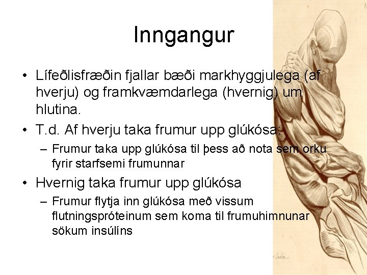 Inngangur • Lífeðlisfræðin fjallar bæði markhyggjulega (af hverju) og framkvæmdarlega (hvernig) um hlutina. •