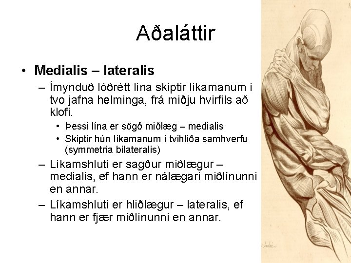 Aðaláttir • Medialis – lateralis – Ímynduð lóðrétt lína skiptir líkamanum í tvo jafna