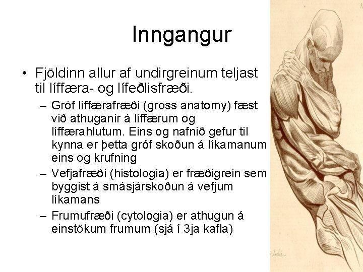 Inngangur • Fjöldinn allur af undirgreinum teljast til líffæra- og lífeðlisfræði. – Gróf líffærafræði