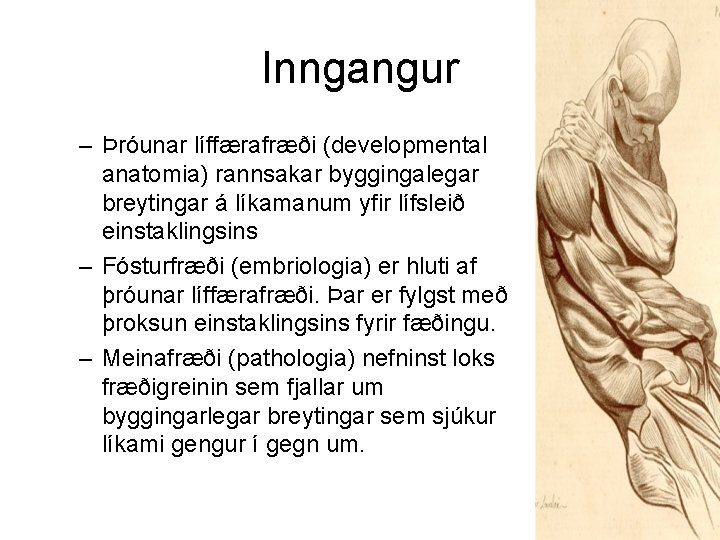 Inngangur – Þróunar líffærafræði (developmental anatomia) rannsakar byggingalegar breytingar á líkamanum yfir lífsleið einstaklingsins