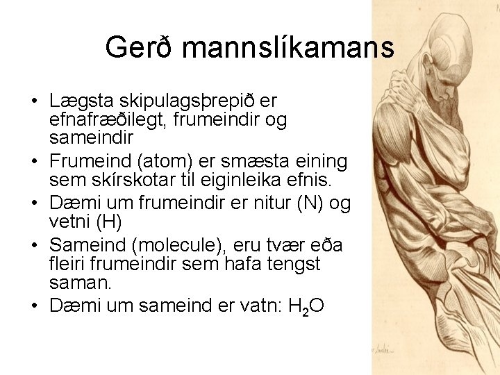 Gerð mannslíkamans • Lægsta skipulagsþrepið er efnafræðilegt, frumeindir og sameindir • Frumeind (atom) er