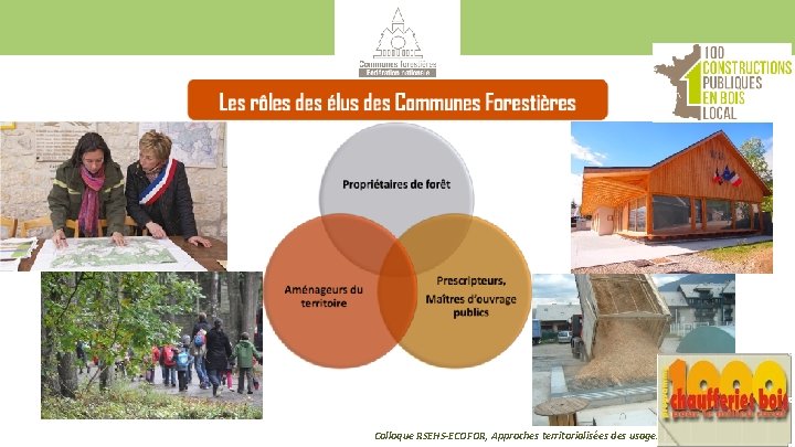 Colloque RSEHS-ECOFOR, Approches territorialisées des usages de la forêt » , 12/01/2017 