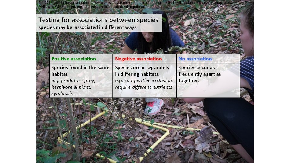 4. 1. S 3 Testing for association between two species using the chi-squared test