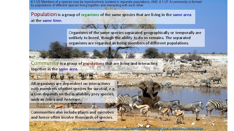 4. 1. U 2 Members of a species may be reproductively isolated in separate