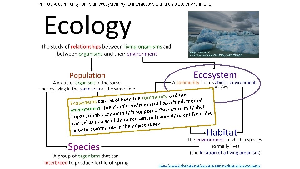 4. 1. U 8 A community forms an ecosystem by its interactions with the