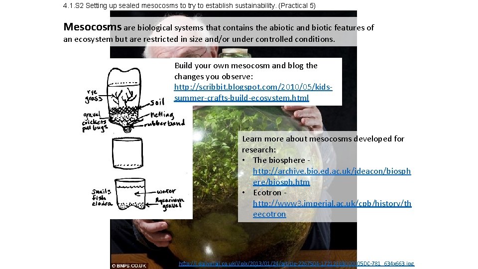 4. 1. S 2 Setting up sealed mesocosms to try to establish sustainability. (Practical