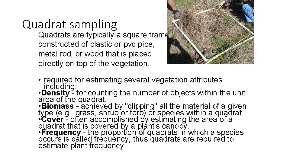 Quadrat sampling Quadrats are typically a square frame constructed of plastic or pvc pipe,