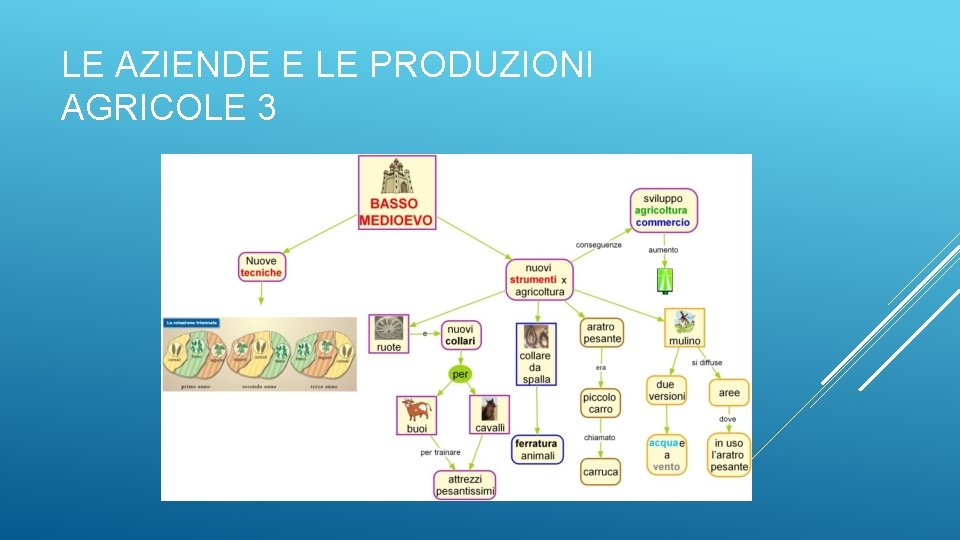 LE AZIENDE E LE PRODUZIONI AGRICOLE 3 