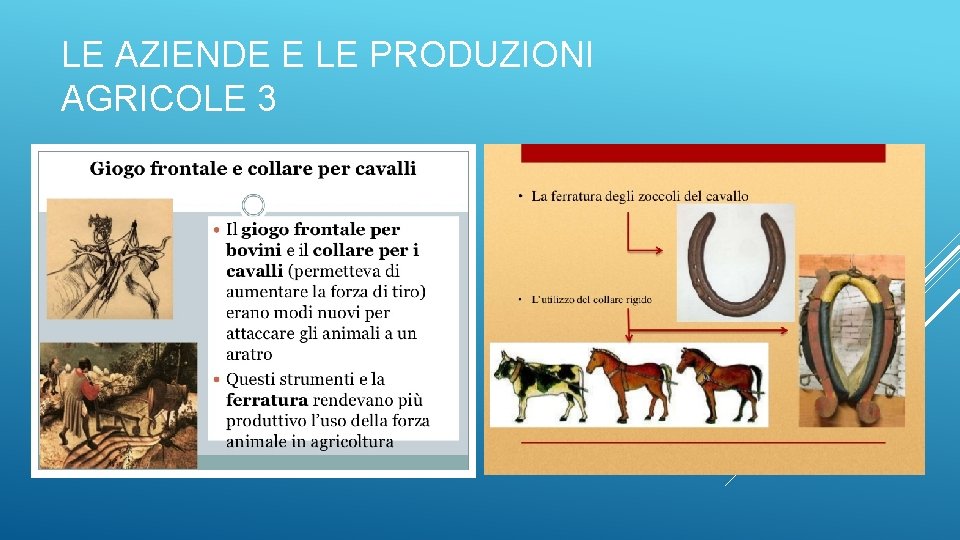 LE AZIENDE E LE PRODUZIONI AGRICOLE 3 