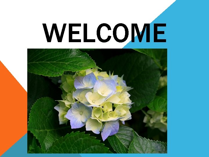 WELCOME 