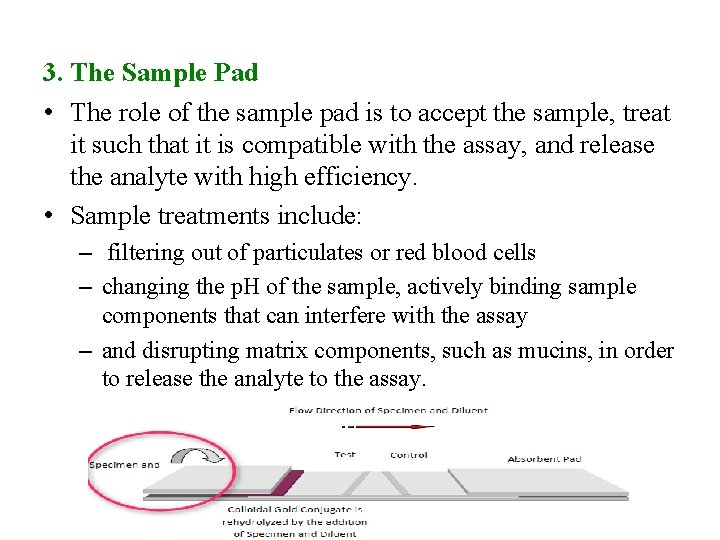 3. The Sample Pad • The role of the sample pad is to accept
