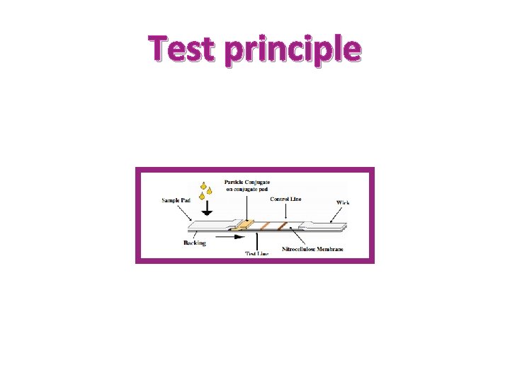 Test principle 