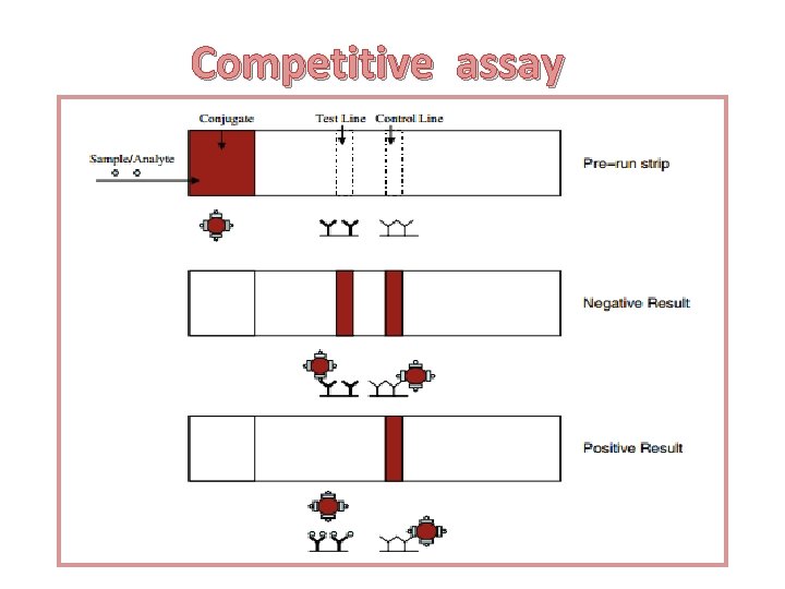 Competitive assay 