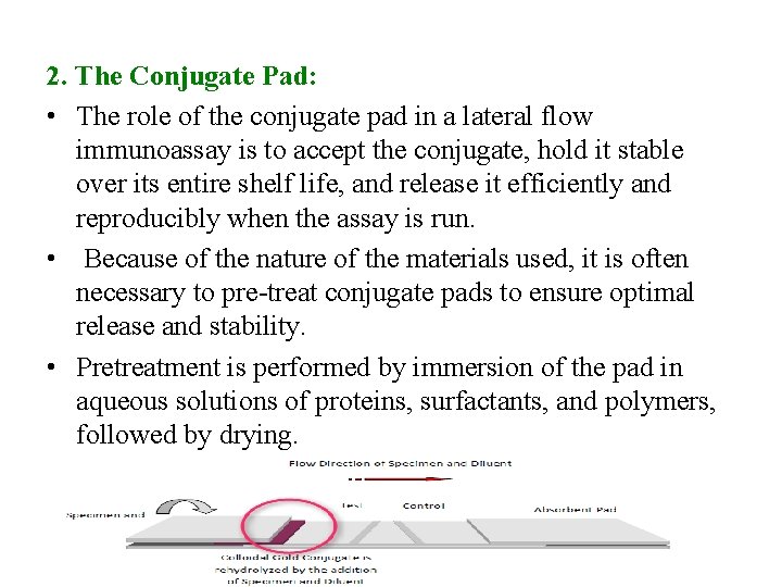 2. The Conjugate Pad: • The role of the conjugate pad in a lateral
