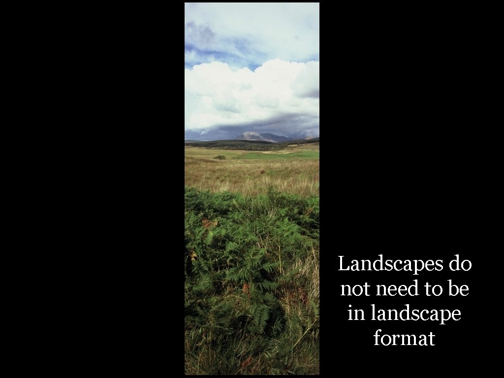 Landscapes do not need to be in landscape format 