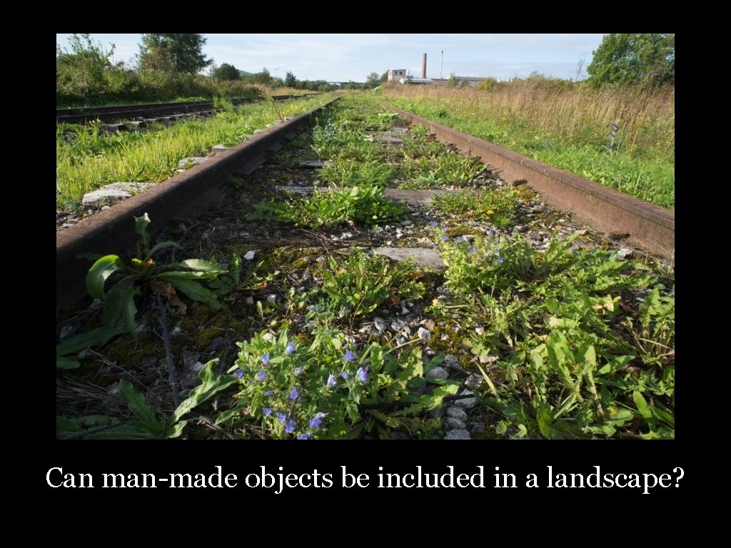 Can man-made objects be included in a landscape? 23 