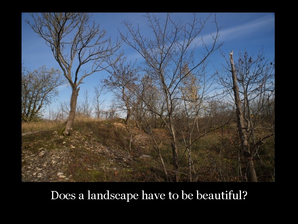 Does a landscape have to be beautiful? 26 