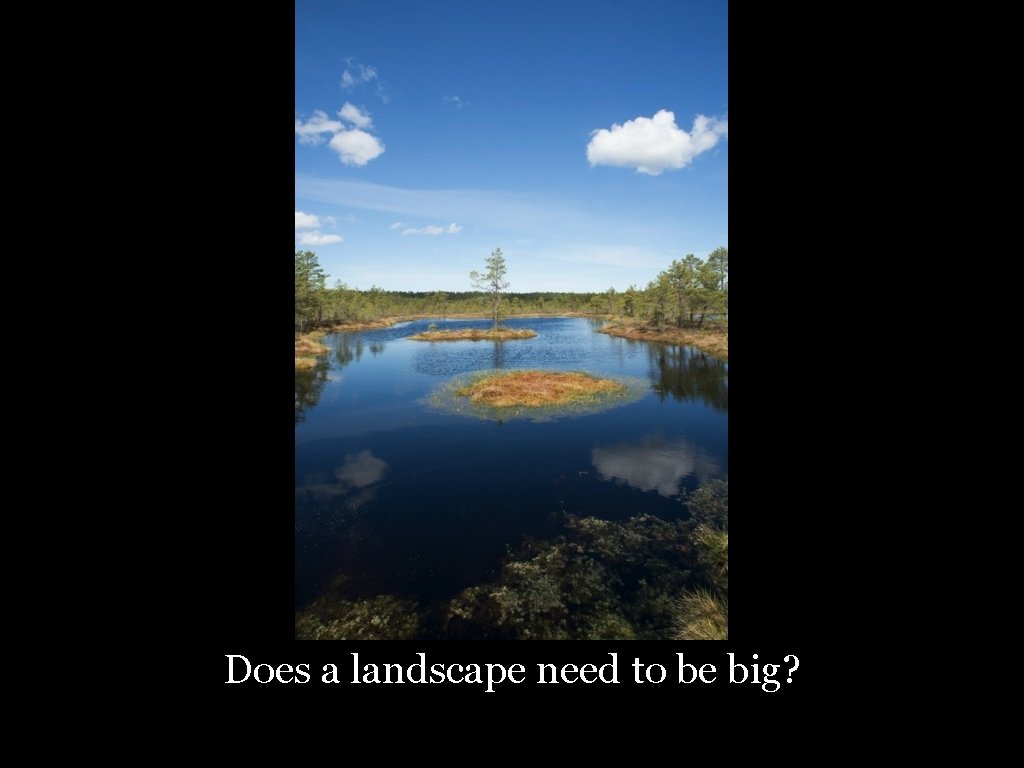 Does a landscape need to be big? 27 