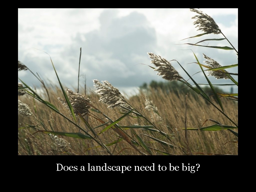 Does a landscape need to be big? 28 