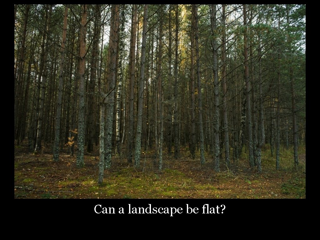 Can a landscape be flat? 29 