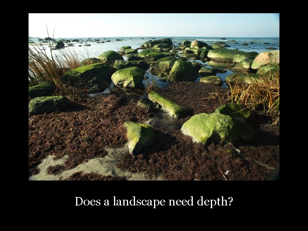 Does a landscape need depth? 30 