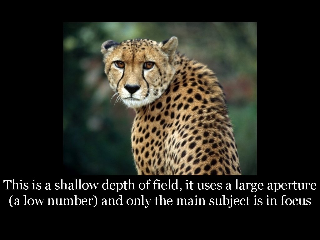 This is a shallow depth of field, it uses a large aperture (a low