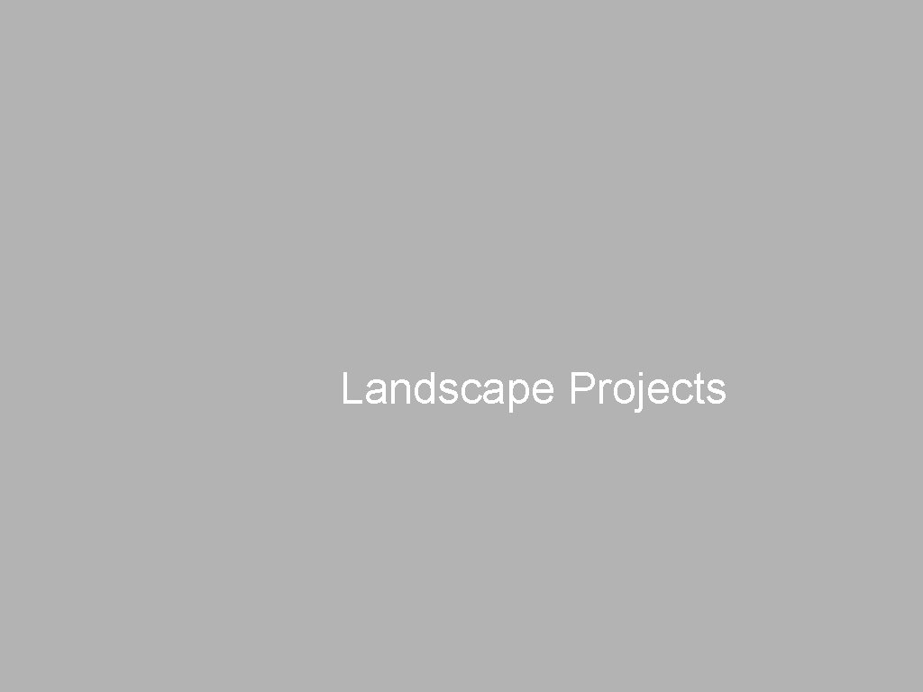 Landscape Projects 