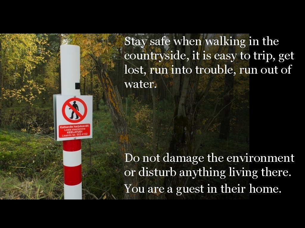 Stay safe when walking in the countryside, it is easy to trip, get lost,