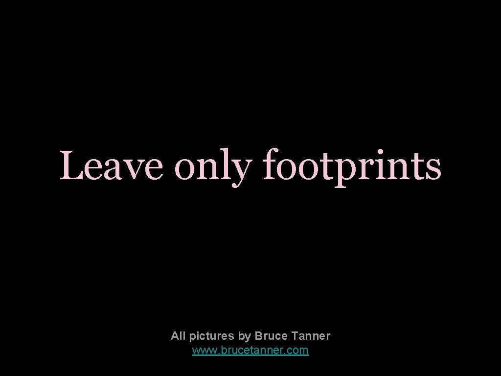 Leave only footprints All pictures by Bruce Tanner www. brucetanner. com 