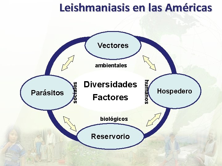 Leishmaniasis en las Américas Vectores Diversidades Factores biológicos Reservorio humanos Parásitos sociales ambientales Hospedero