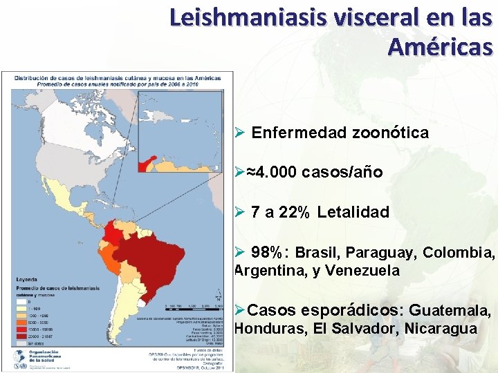 Leishmaniasis visceral en las Américas Ø Enfermedad zoonótica Ø≈4. 000 casos/año Ø 7 a
