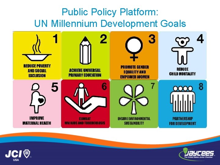 Public Policy Platform: UN Millennium Development Goals 