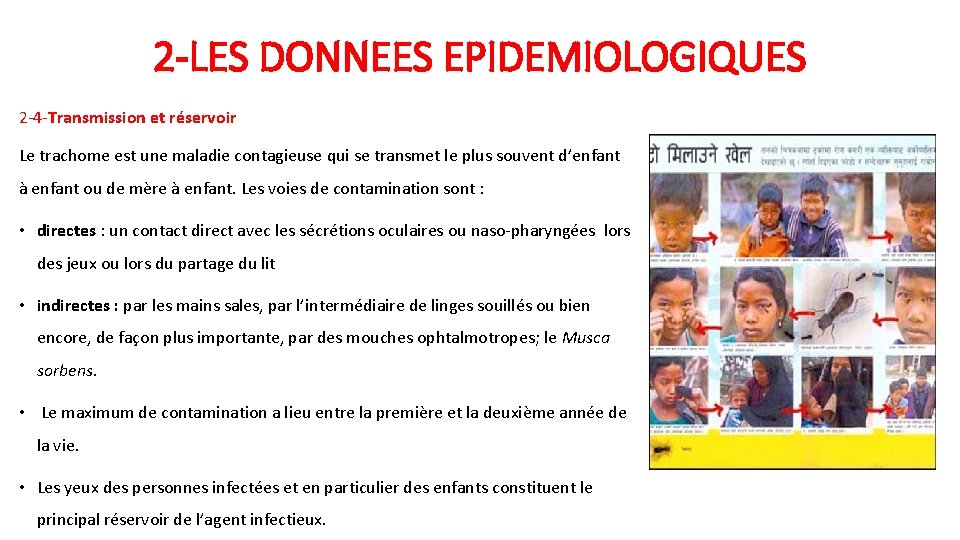 2 -LES DONNEES EPIDEMIOLOGIQUES 2 -4 -Transmission et réservoir Le trachome est une maladie 2 -LES DONNEES EPIDEMIOLOGIQUES 2 -4 -Transmission et réservoir Le trachome est une maladie