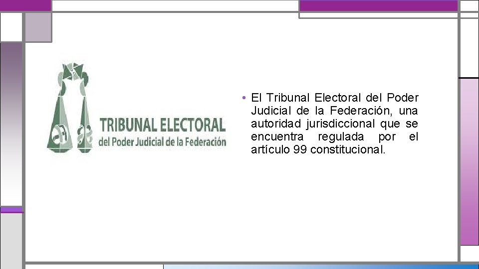  • El Tribunal Electoral del Poder Judicial de la Federación, una autoridad jurisdiccional