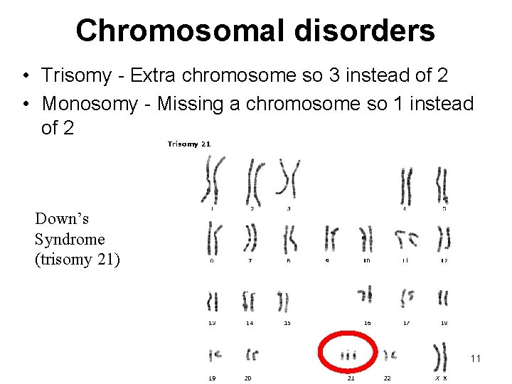 Chromosomal disorders • Trisomy - Extra chromosome so 3 instead of 2 • Monosomy