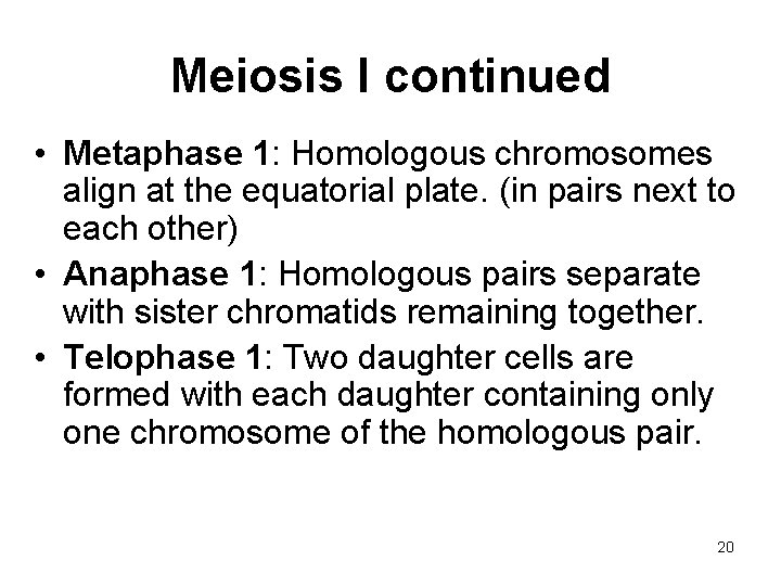 Meiosis I continued • Metaphase 1: Homologous chromosomes align at the equatorial plate. (in