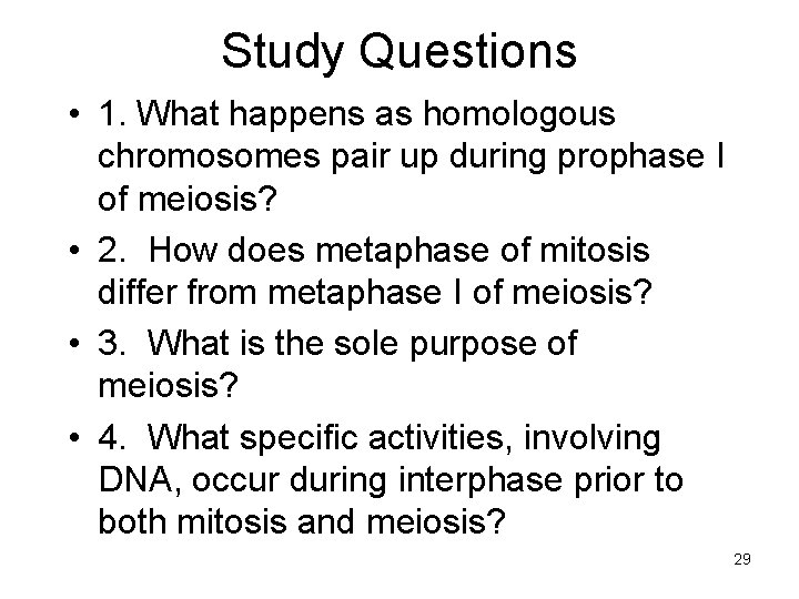 Study Questions • 1. What happens as homologous chromosomes pair up during prophase I