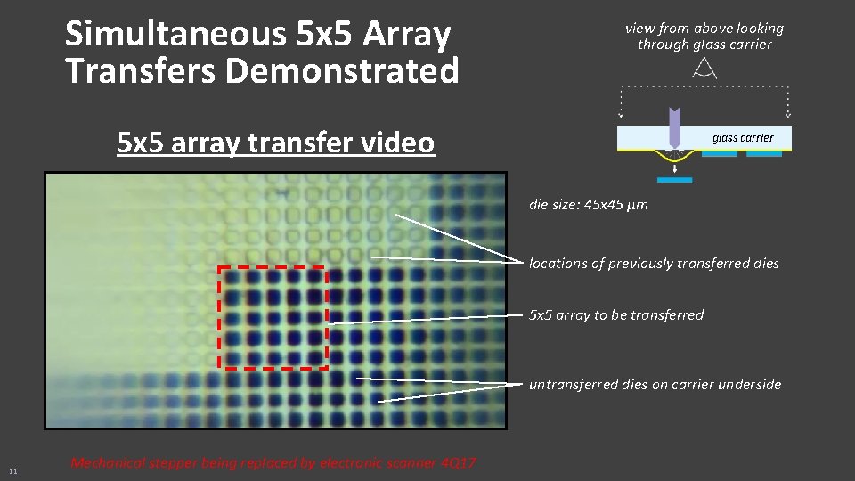 Simultaneous 5 x 5 Array Transfers Demonstrated view from above looking through glass carrier