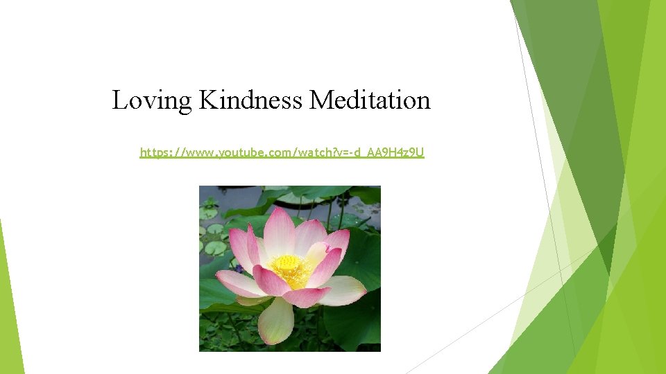 Loving Kindness Meditation https: //www. youtube. com/watch? v=-d_AA 9 H 4 z 9 U Loving Kindness Meditation https: //www. youtube. com/watch? v=-d_AA 9 H 4 z 9 U