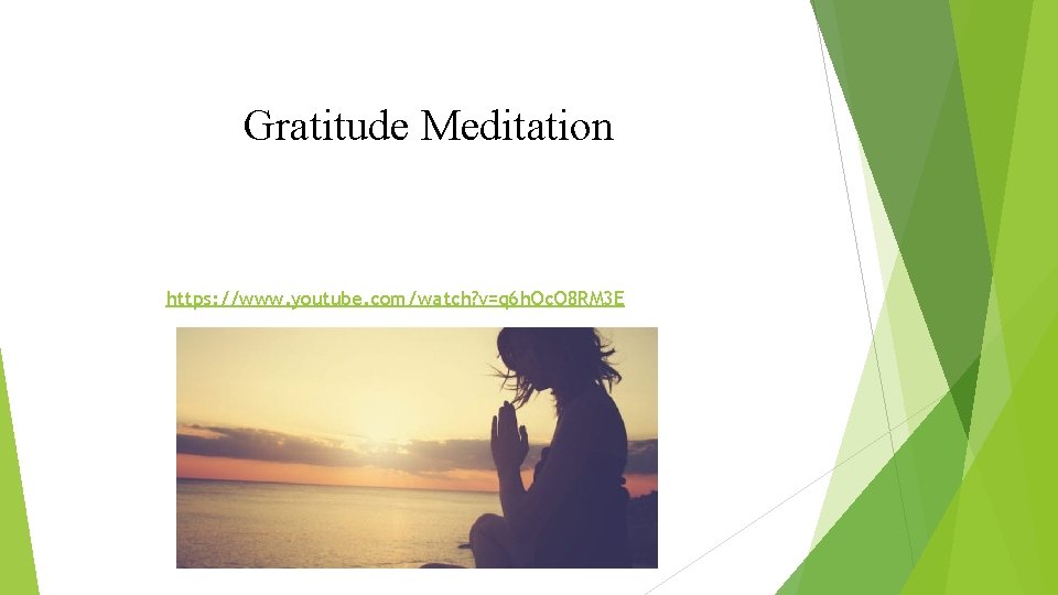 Gratitude Meditation https: //www. youtube. com/watch? v=q 6 h. Oc. O 8 RM 3 Gratitude Meditation https: //www. youtube. com/watch? v=q 6 h. Oc. O 8 RM 3