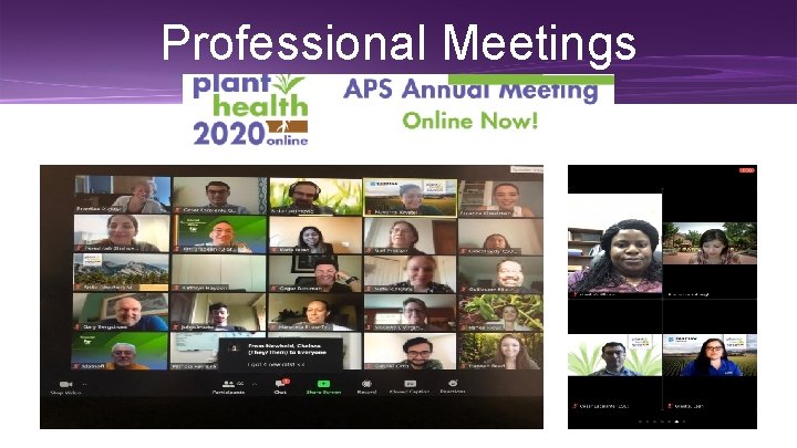 Professional Meetings Students at APS, Online. 