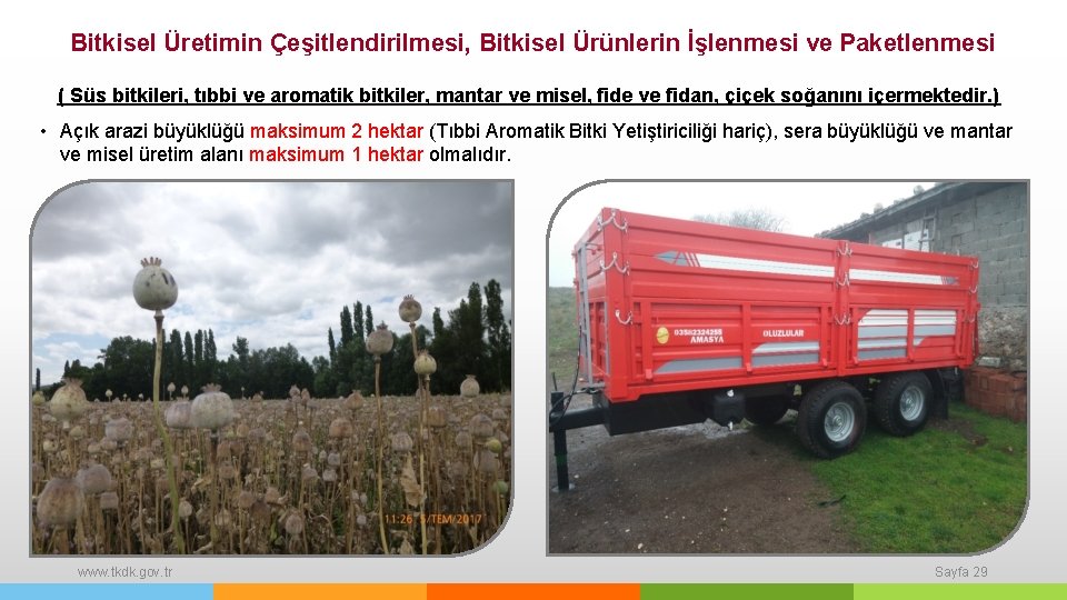 Bitkisel Üretimin Çeşitlendirilmesi, Bitkisel Ürünlerin İşlenmesi ve Paketlenmesi ( Süs bitkileri, tıbbi ve aromatik